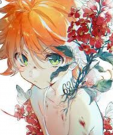 yori tchane