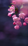 safeblue91