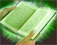 hamza mansour