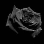 Algreb