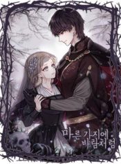 images_65