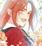 ميليسا