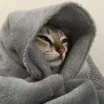 saadupmkjko