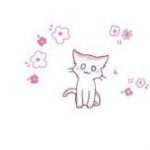 rnoo