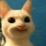 .-
