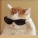 3333
