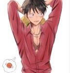 Luffy 3.0