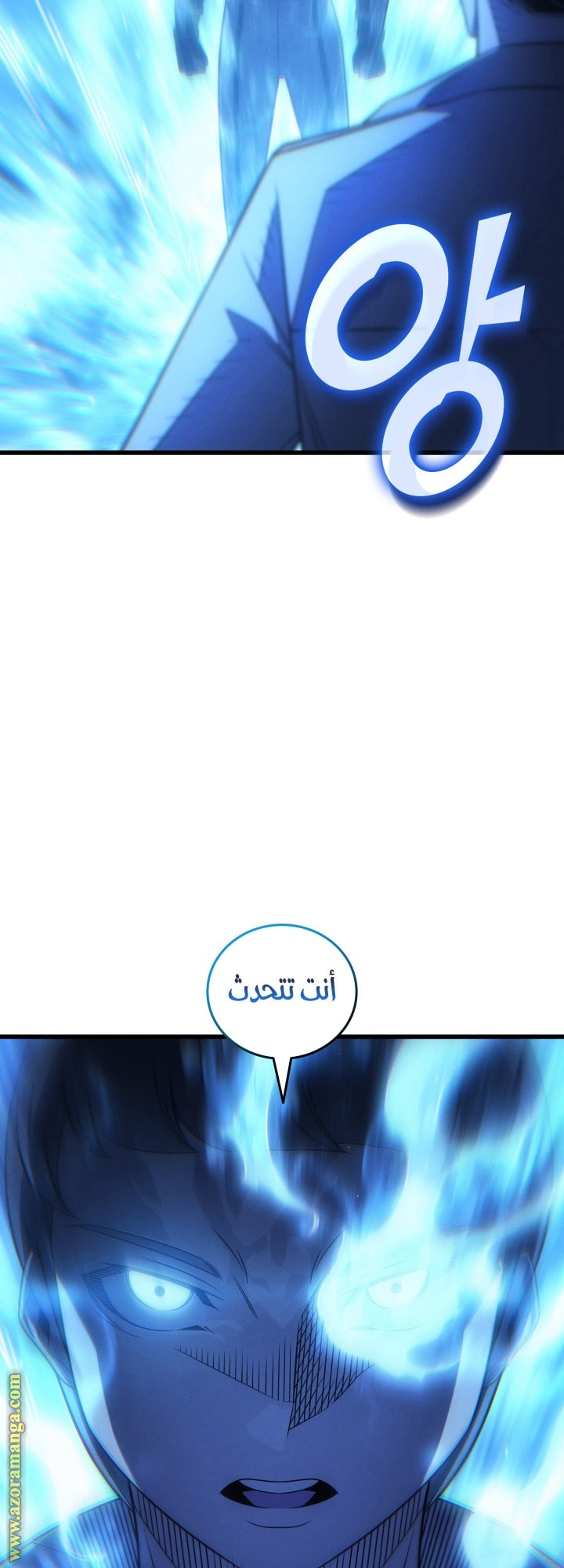 صفحة 43