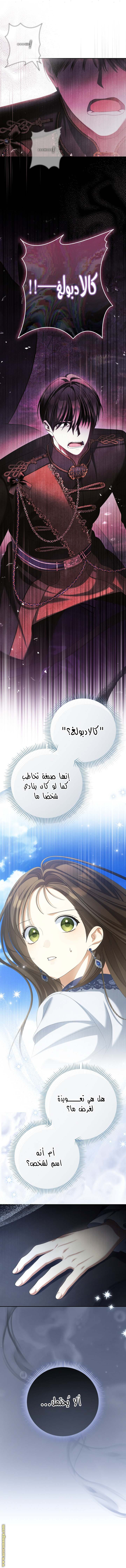 صفحة 8