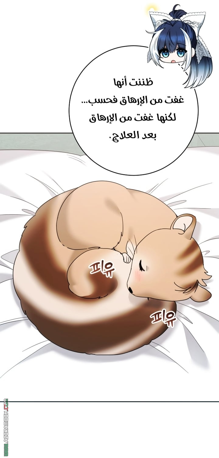 صفحة 5