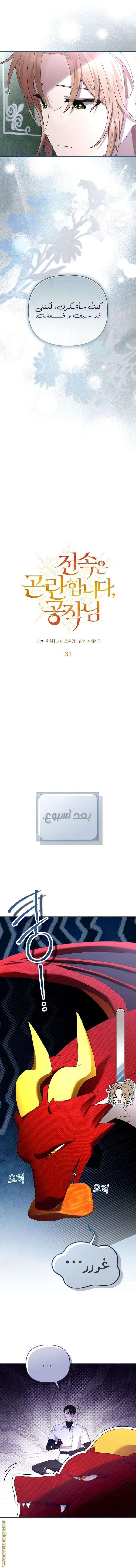 صفحة 8