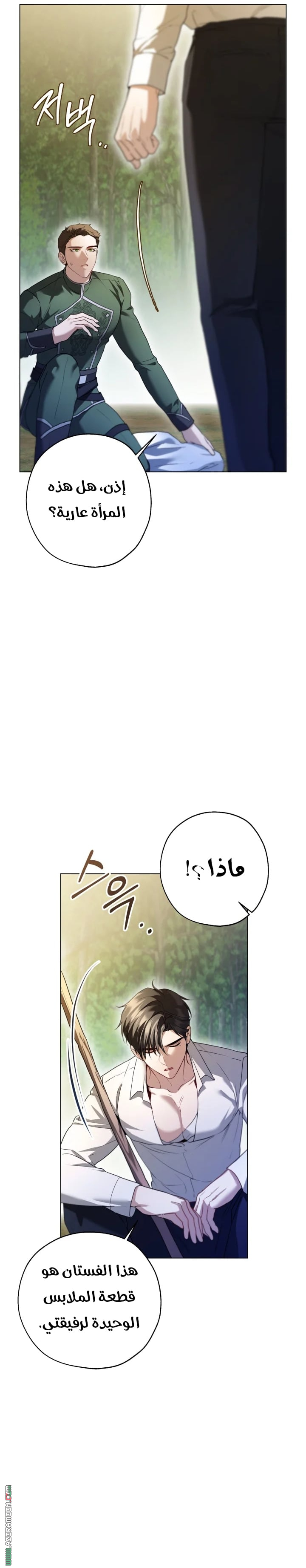 صفحة 13
